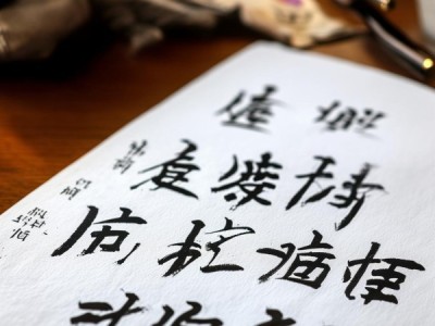 硬笔书画艺术，A4纸上的精致演绎