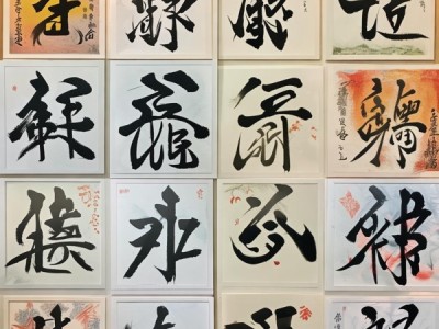 青春墨韵，传承经典——中小学生硬笔书画展风采展示
