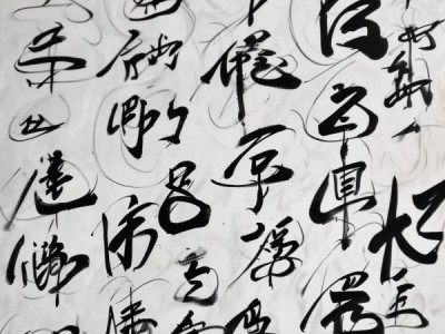 生活艺术的双重奏，书法与音乐的韵律交融