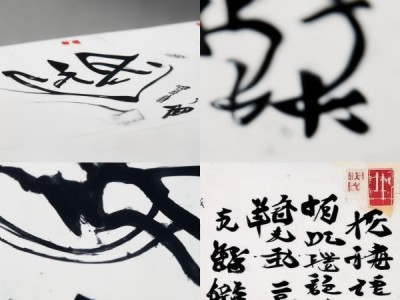 墨舞飞扬，沈鸿根硬笔书法作品集PDF鉴赏