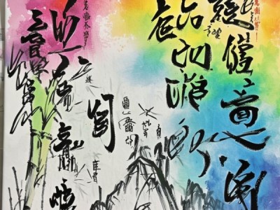 五年级硬笔书画，传承与创新的艺术足迹