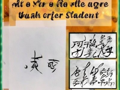 硬笔书法魅力绽放，四年级学生成长轨迹展示