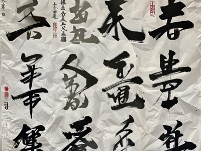 探寻动态书法之美，独一无二的艺术瑰宝赏析
