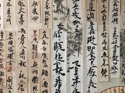 翰墨飘香，书法艺术盛宴作品集锦