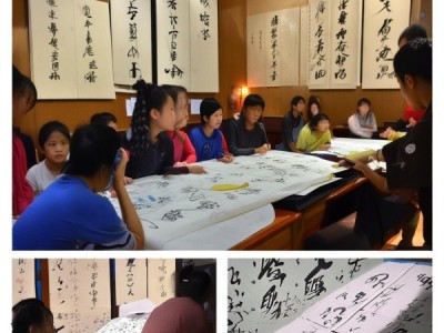 银城书画院，弘扬国粹，硬笔书法培训班助力艺术素养提升