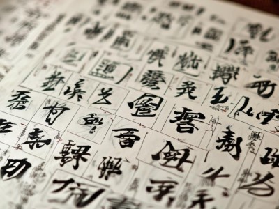 揭秘四年级书法理论考卷，书法艺术深度解析